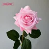 #2 light pink