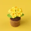Yellow-5 head forget-me-not potted plant-mini wool basin