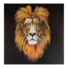 A-Lion-D