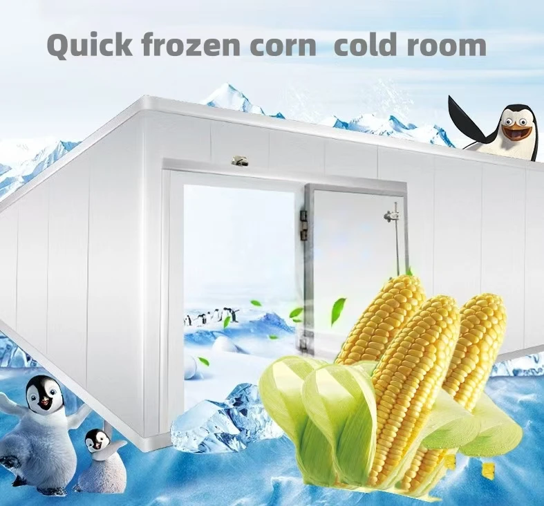 18 Years Design Experience Easy-to-Assemble Cold Room Quick Freezing Cooling System Featuring Retail manufacture