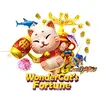Wonder Cat's Fortune