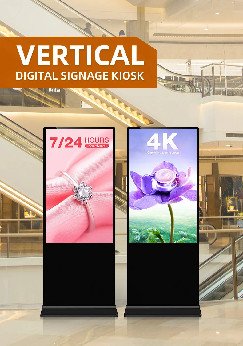 3d6.jpg
