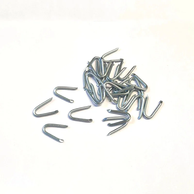 Galvanized U Type Shaped Steel Staple Nail Buy U Shaped Nail,U Type