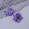 Pourpre