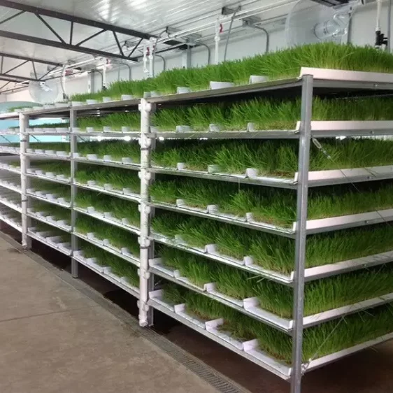 animal fodder system
