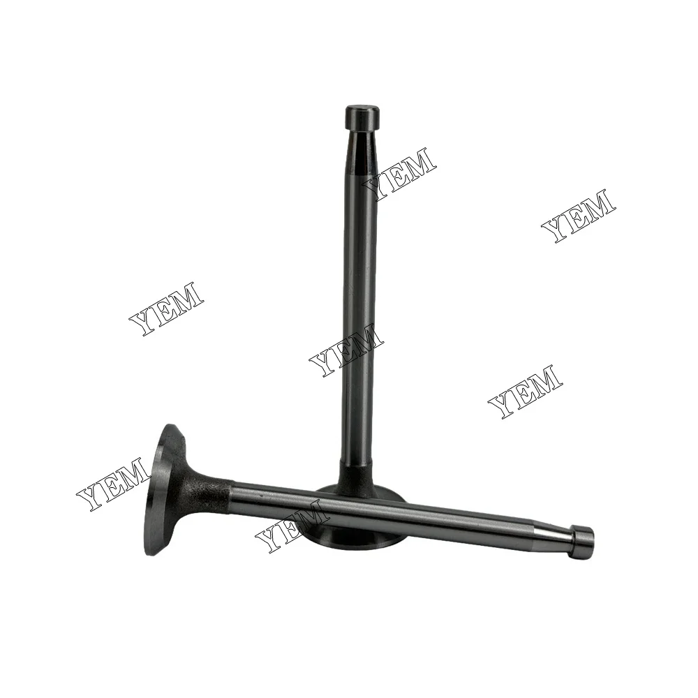295AD Valve for SDEC Valve Universal Engine Parts 2