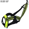 Vert fluorescent