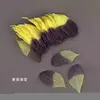 Amarillo negro