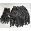 burmese curly (1pcs)