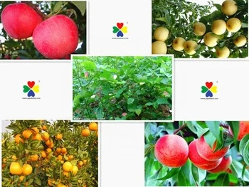 Дигидрофосфат калия 99%, цена