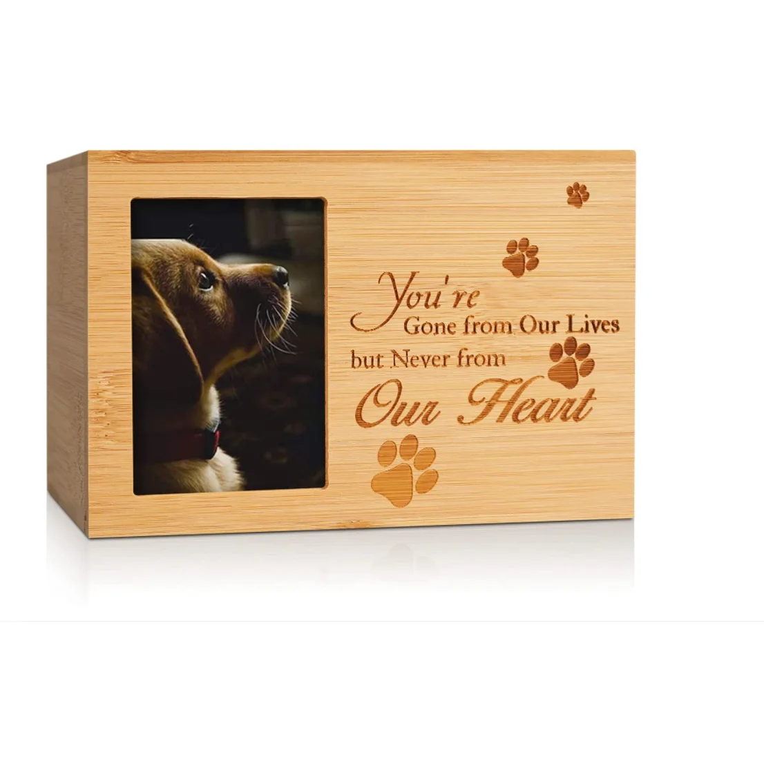 Can I Bury My Dog In A Plastic Container