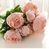 Rosa Carneado Primaveral