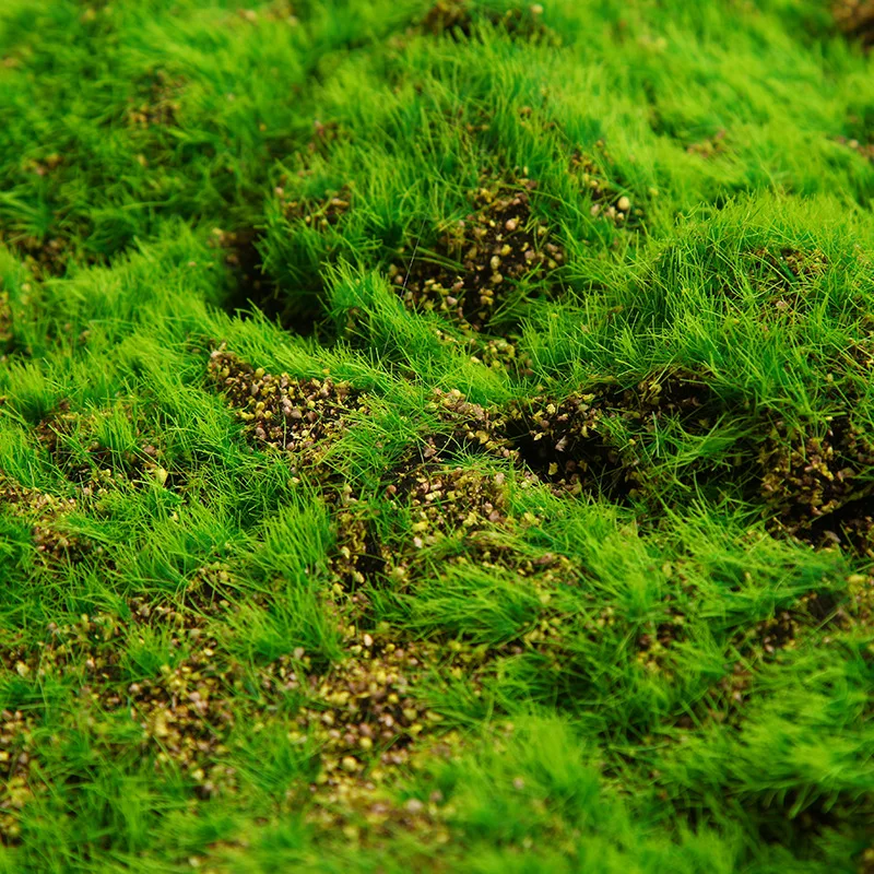 Оптовая продажа консервированный мох Настенный Современный олень Натуральный Мох для домашнего декора «Сделай сам»