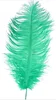 Menthe