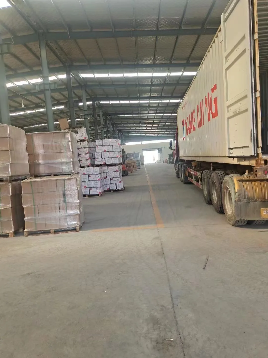 Shijiazhuang Truter Packaging Co., Ltd.