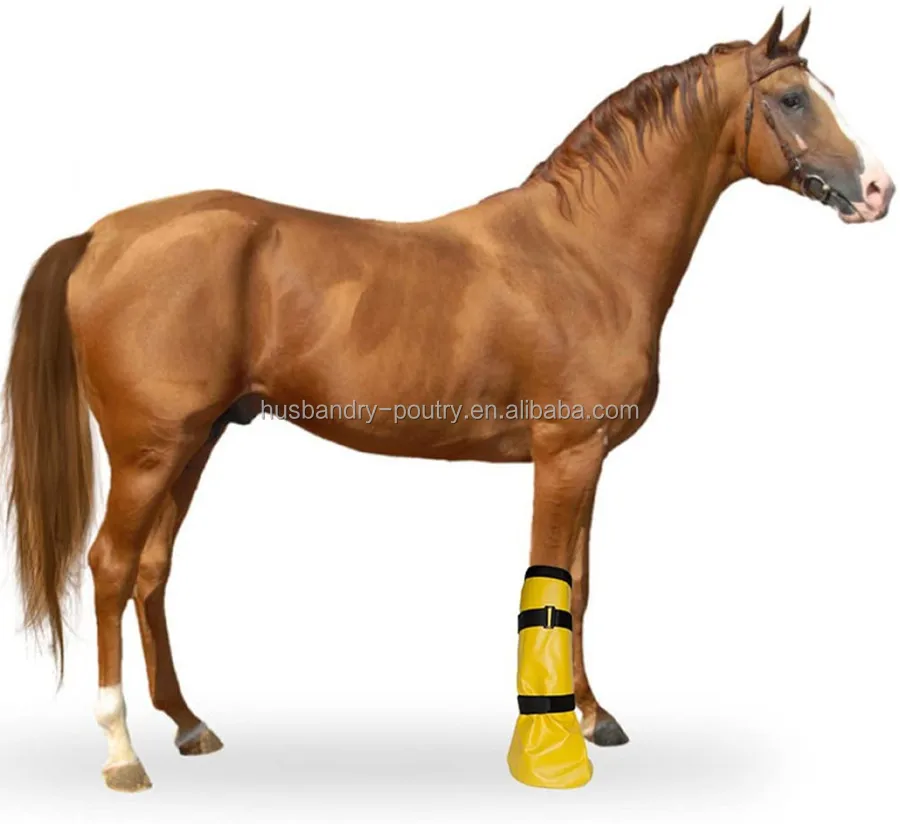 Botte De Trempage Pour Sabot De Cheval - Sac équin Pour Trempage, Entretien Facile, Neuf