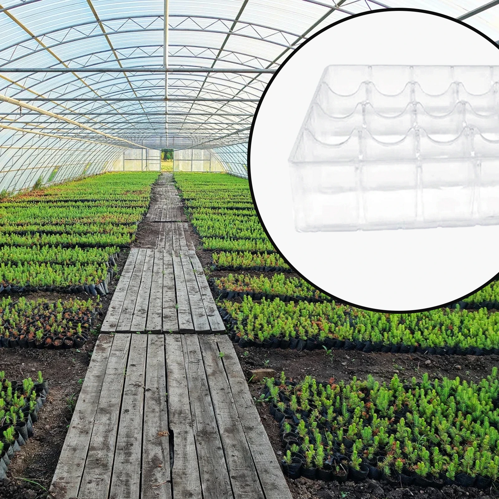 New White Transparent Agricultural Seedling Tray Plant Growing Tray Artificial Plastic Plants Tray for Garden