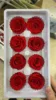 Red GradeB 4-5cm