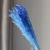 สีฟ้า