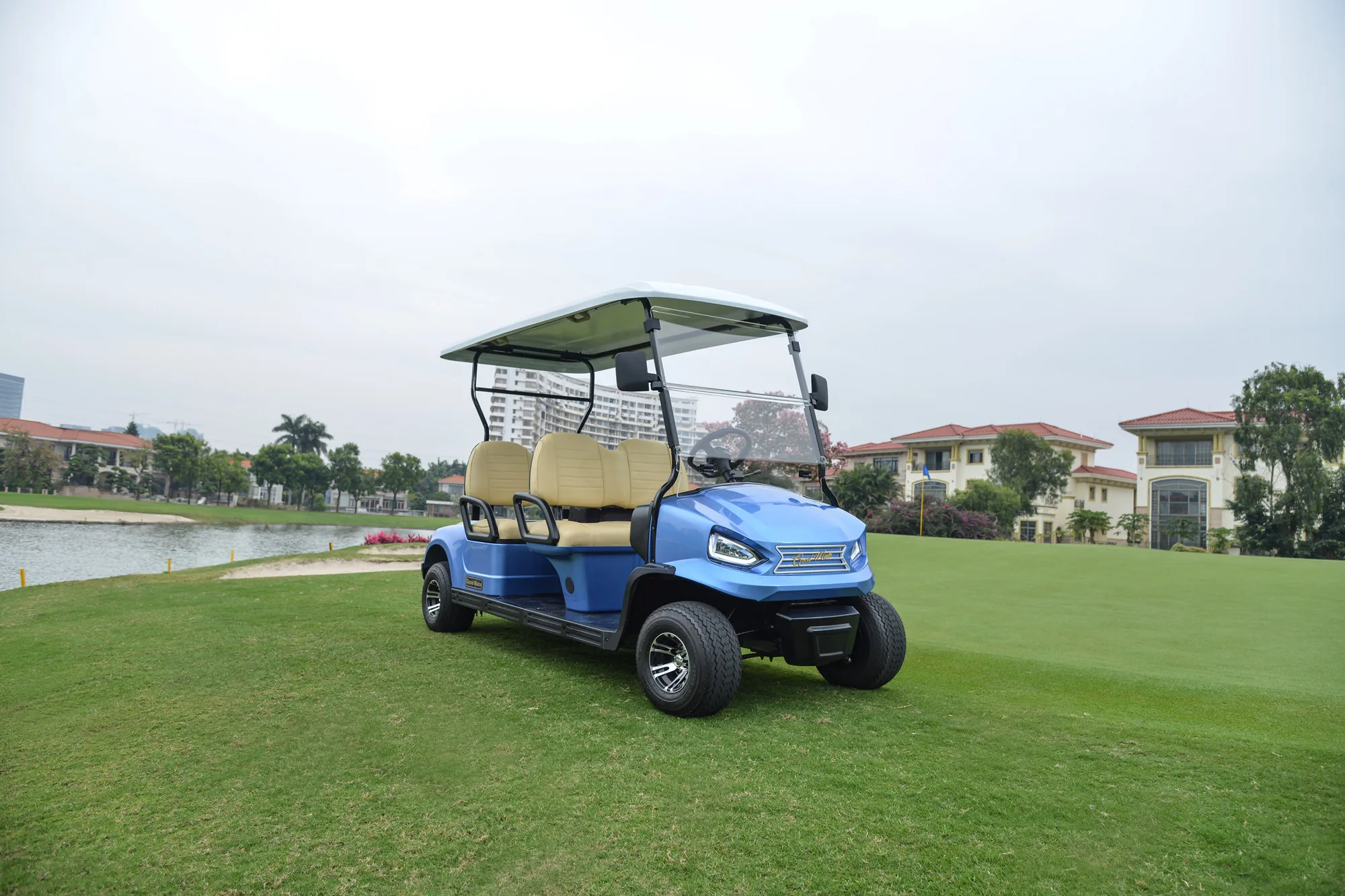 Electric Golf Car Golf Buggy with 4 Seater Golf Cart for Sale the Villages