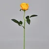 Medium-sized, textured design - deep yellow