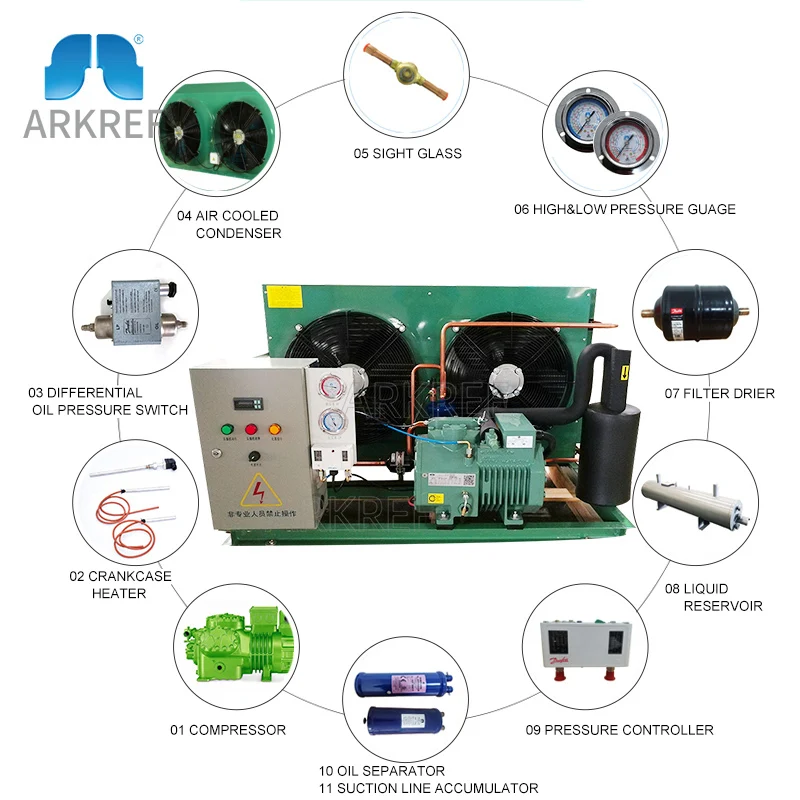 Arkref Cold Room Cold Storage High Performance Two Stage Bitzer Compressor Air Cooled Condensing Unit