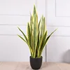 7 groups of yellow-edged snake plants - large, 89cm