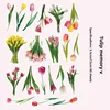 E Souvenirs de tulipes - Rose