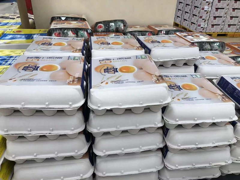 Egg Cartons For Quails 6 Cells Black Egg Carton Pulp Egg Tray South