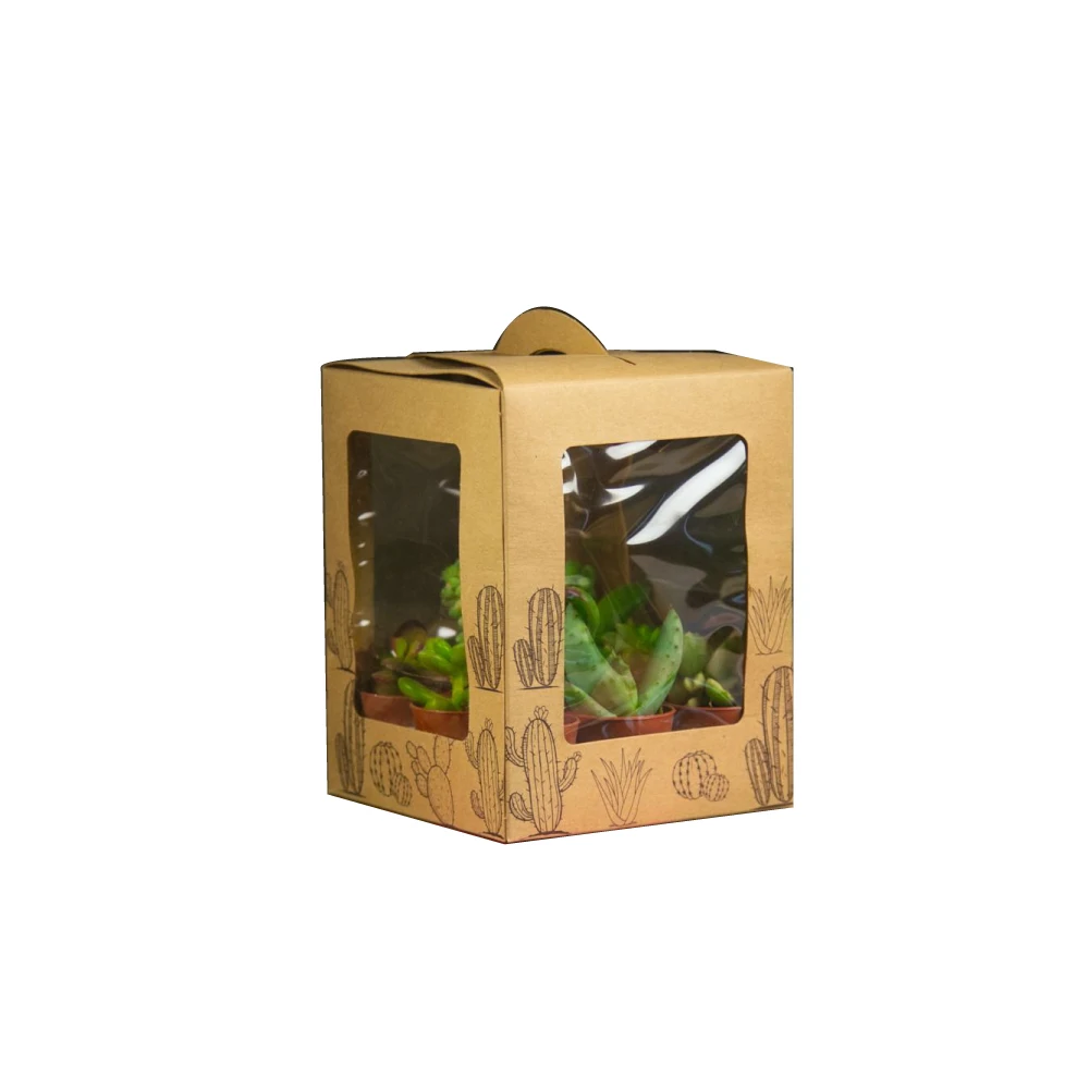 Kaktus-Transport verpackung mit Zimmer pflanzen versand box fr Sukkulenten