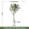 6,6FT/200CM Verde