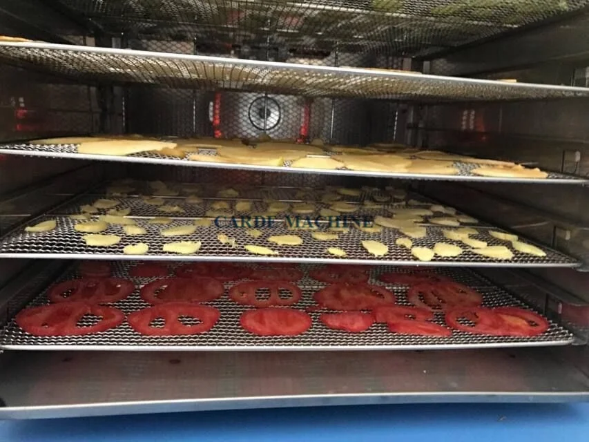 10 Trays Home Small Scale Portable Metal Food Dryer Fruits Dehydrator Paste Noodles Drying Machine