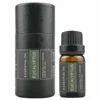 Olio Essenziale di Eucalipto