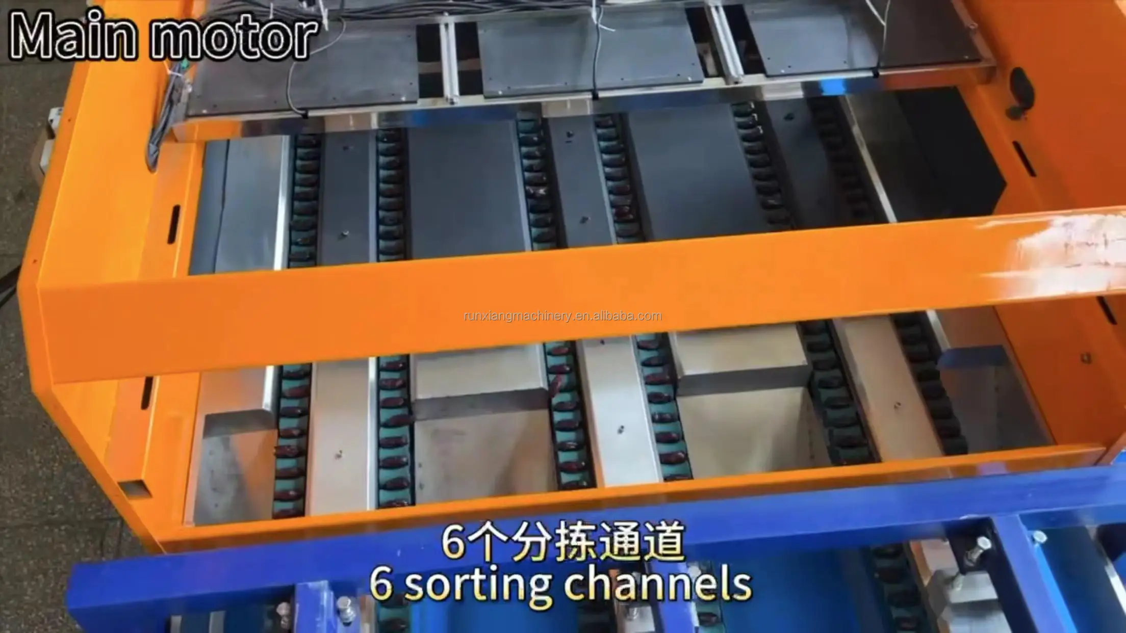 Automatic Dates Grading Sorting Machine - Medjool Dates