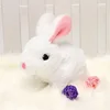 White rabbit-electric