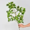 Campana 3D - Verde
