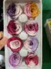 multi-color 5