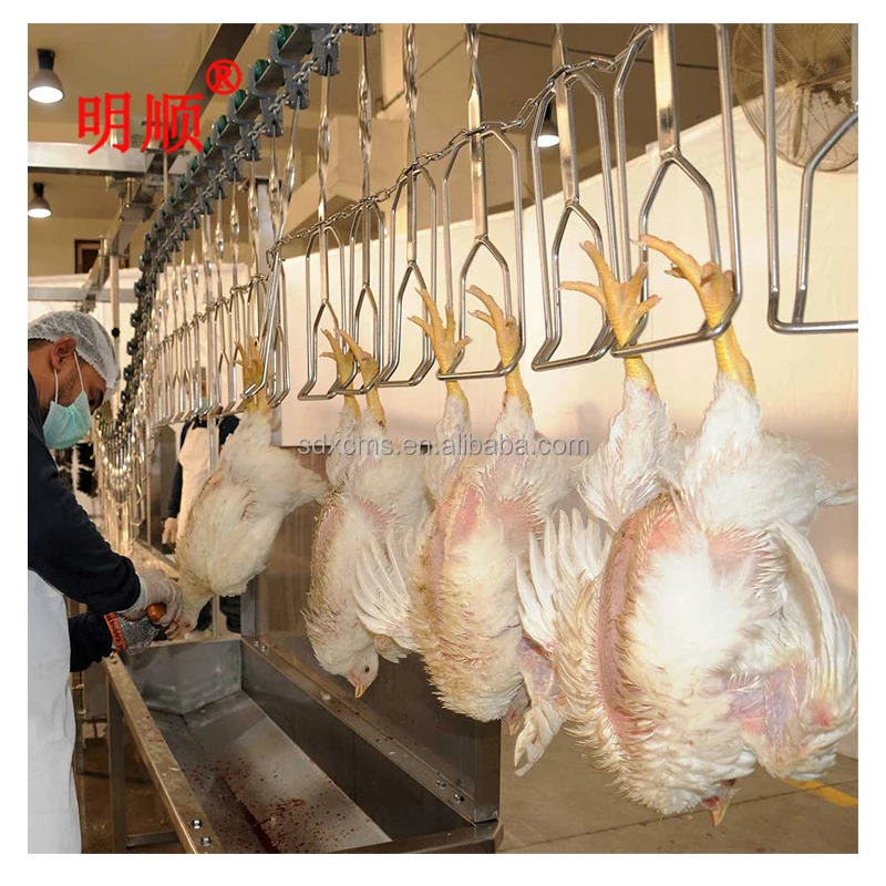 2024 Factory Price Poultry Duck Chicken Rabbit Meat Processing Plant Machine