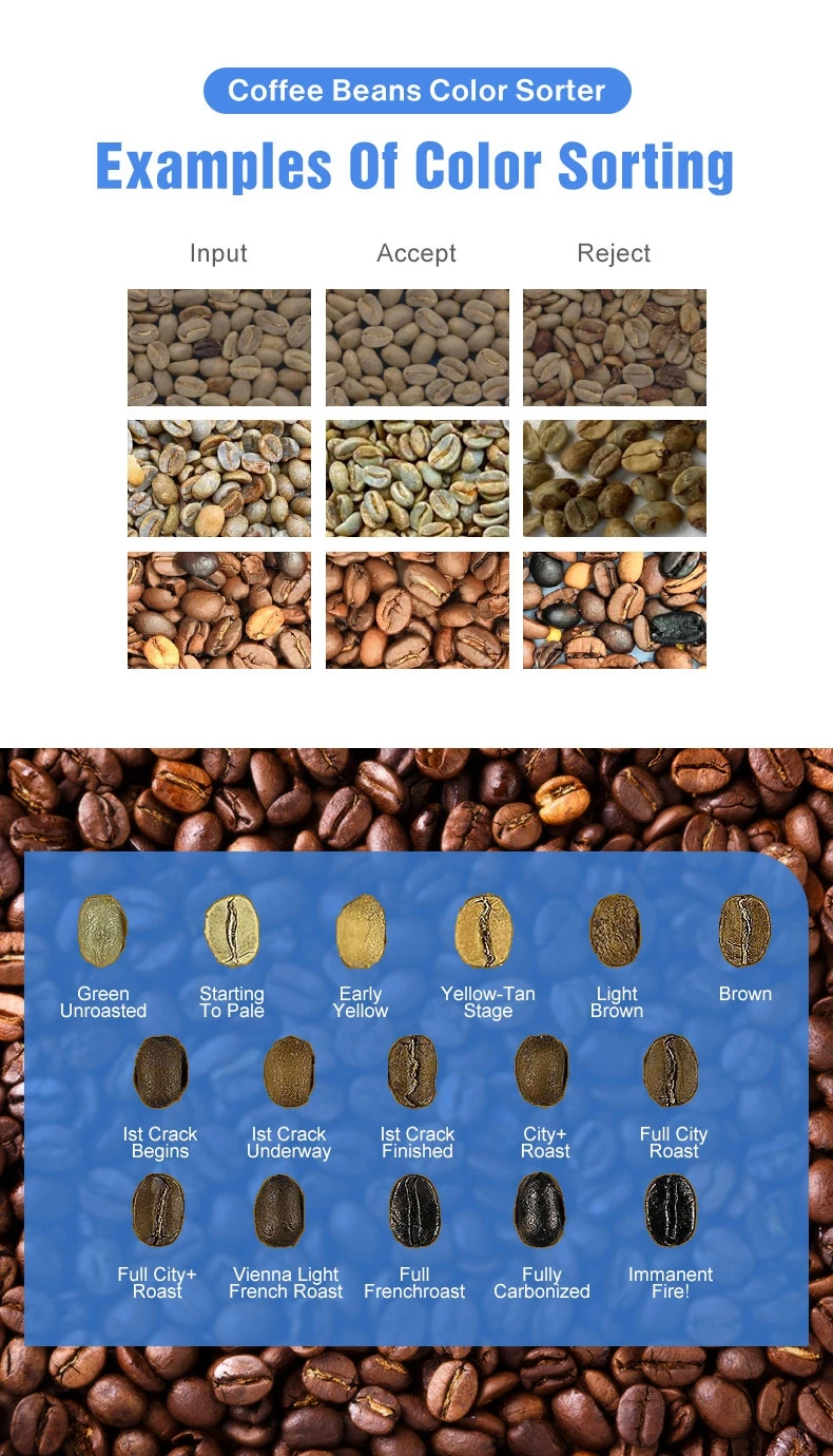 WENYAO Coffee Bean Selecting Machines Coffee Bean Separation AI Optical Sorting Machines