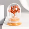 Southern red agate