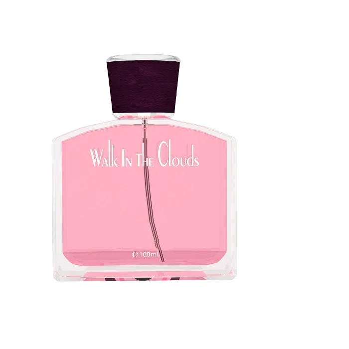 Chicphia 100ml Walk in the Clouds Fragrance Perfume Wholesale in Dubai /spray Perfumes