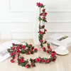 Spring Peony -Rose Red