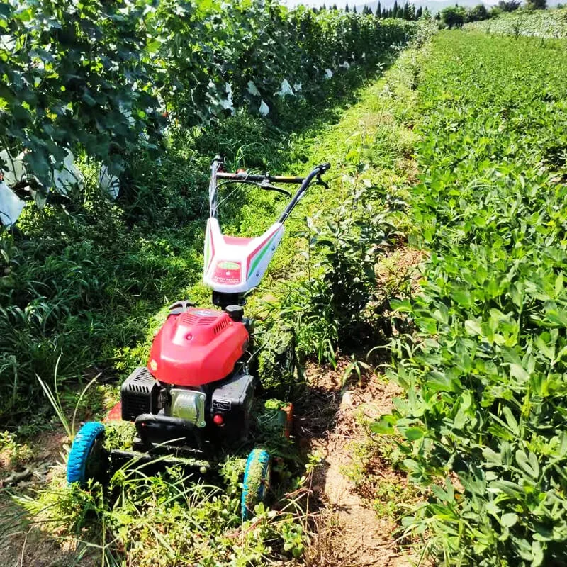 Selfpropelled Portable Lawn Mower Thailand Power Weeder Homeuse