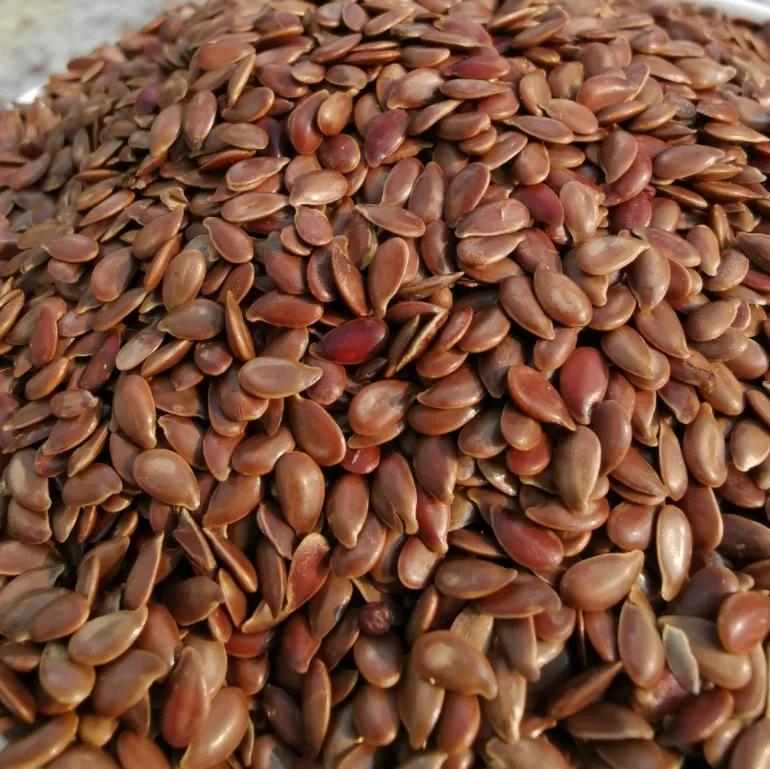 linseed seed2.JPG