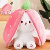 Lapin fraise rose