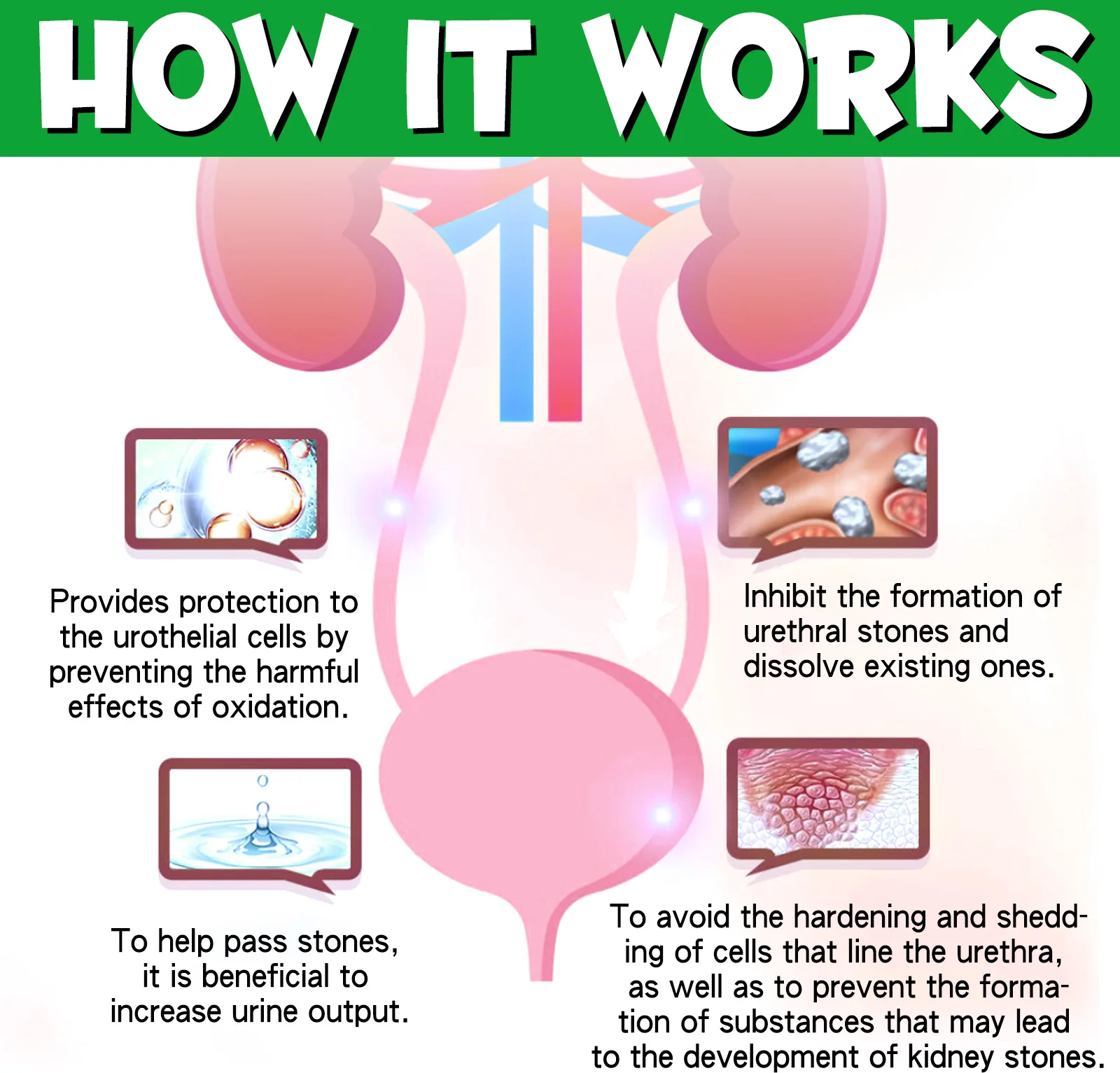 Oimmal Natural Dog Urinary Tract Infection Treatment Bladder Support