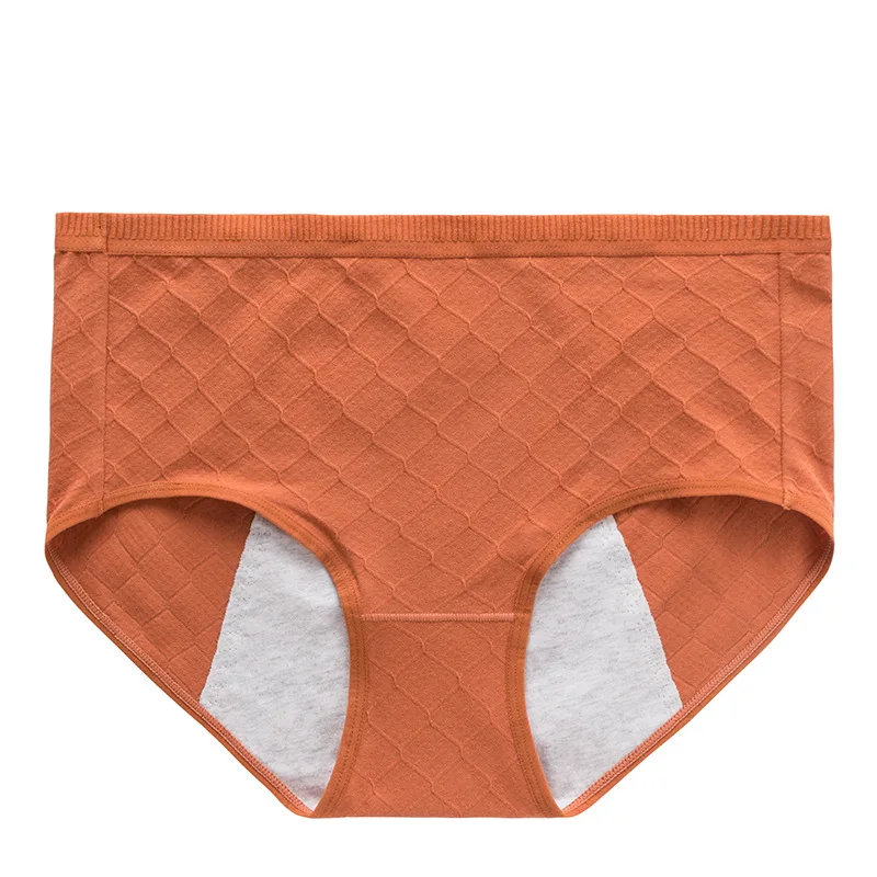 Female Japanese Sanitary Panties Menstrual Lady Underwear