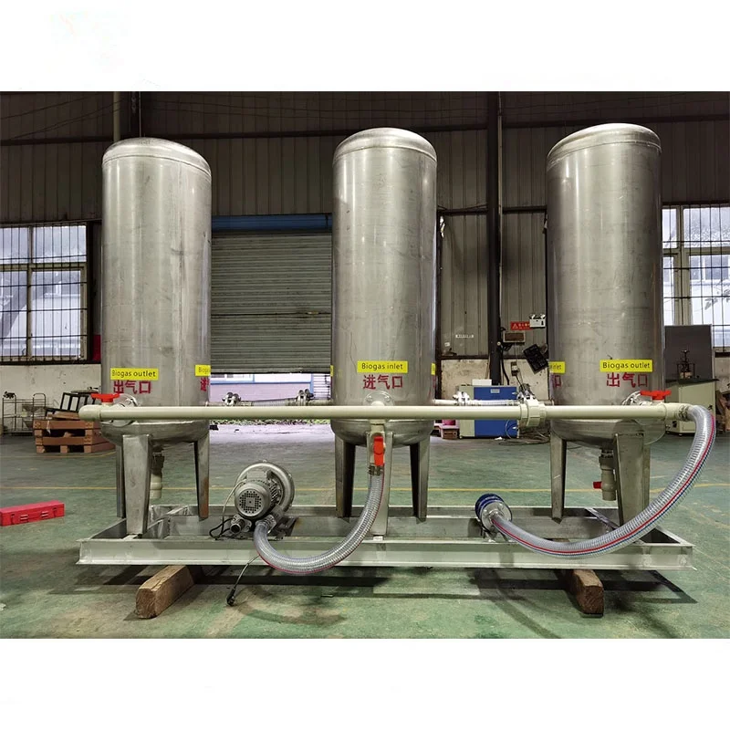 Biogas Purification System Biogas Upgrading System Biogas Filter