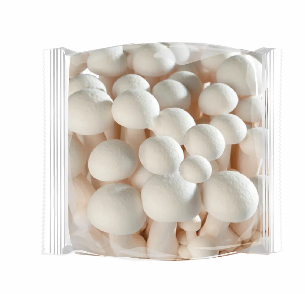 Fresh Shimeji Buy Fresh Shimeji Beech Mushroom Hypsizygus Marmoreus