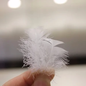 High Quality European Standard Feathers Wholesale Machine Washable White Duck Feather and Down From China